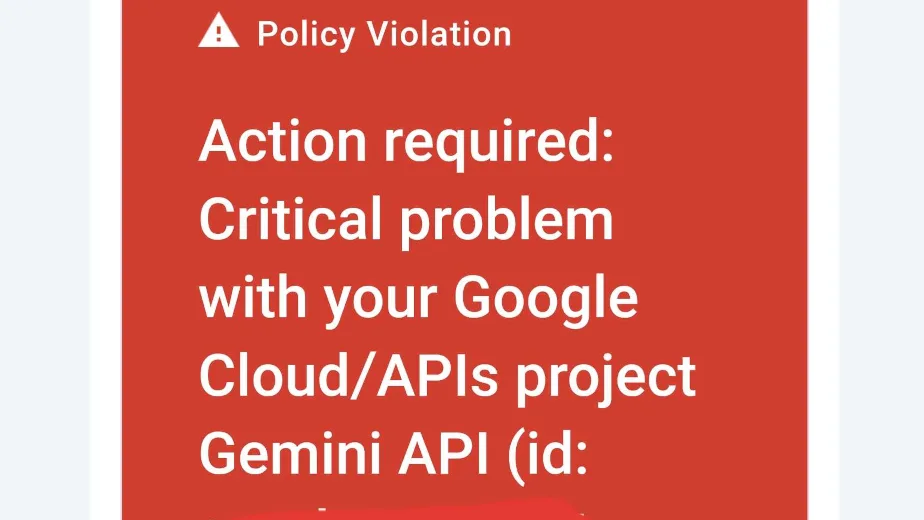 Google Gemini API Restriction Email